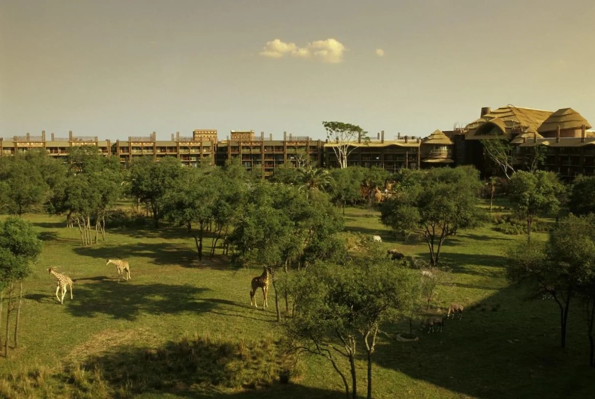 Disney's Animal Kingdom Lodge Villas Views