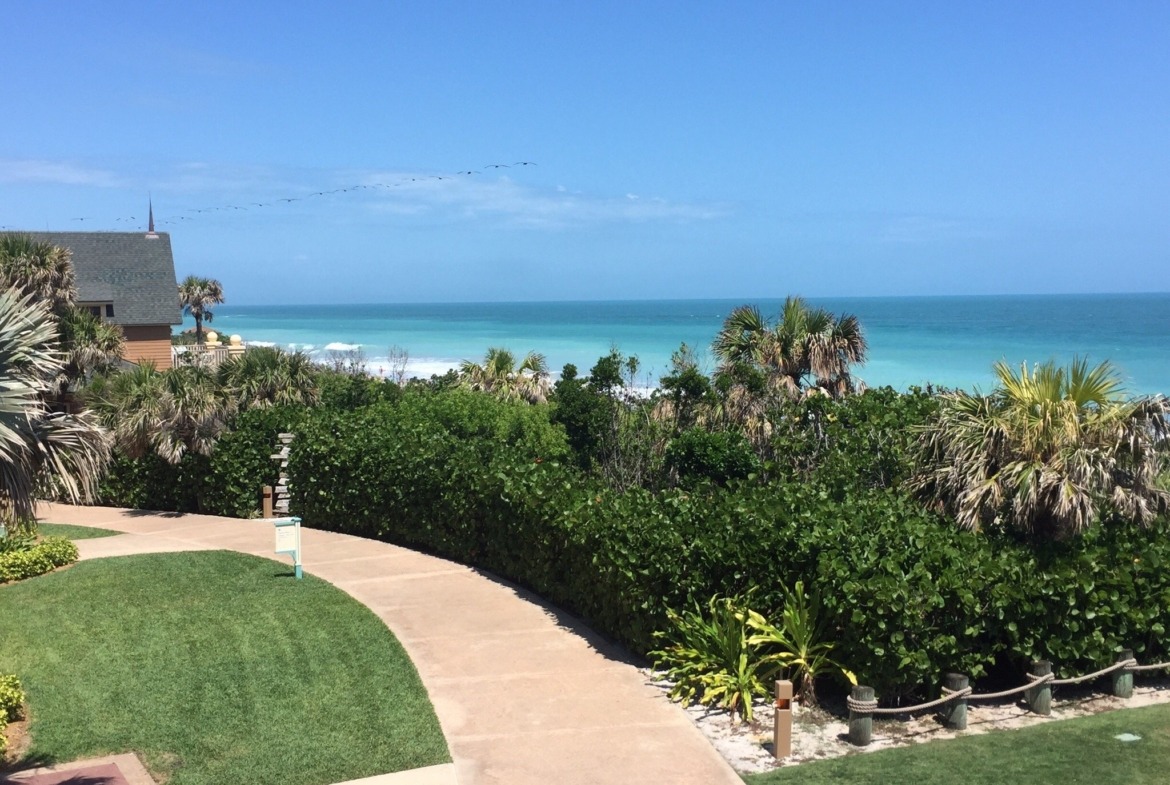 Disney's Vero Beach Resort View