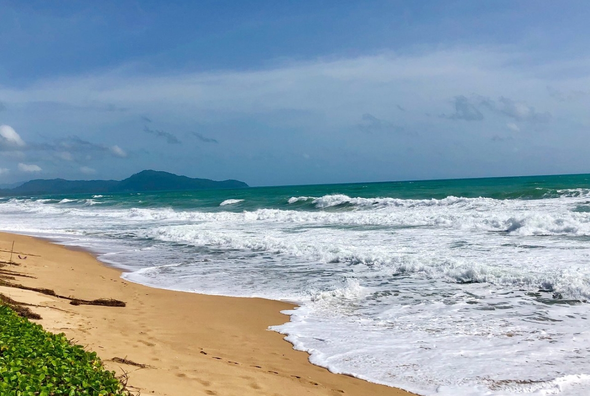 Beach View