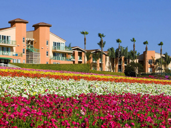 Grand Pacific Palisades