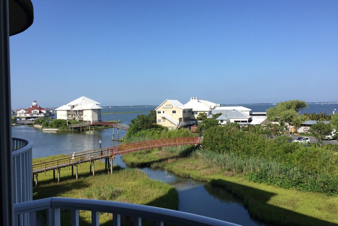 Water View