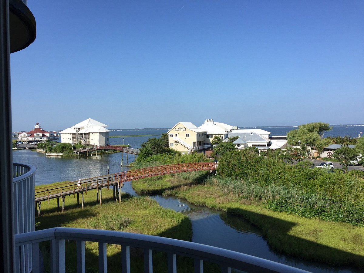 Water View