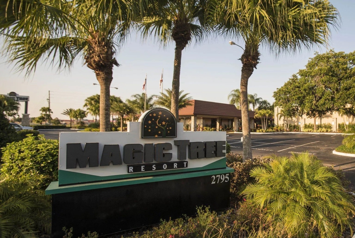 Magic Tree Resort