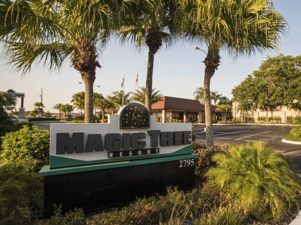 Magic Tree Resort