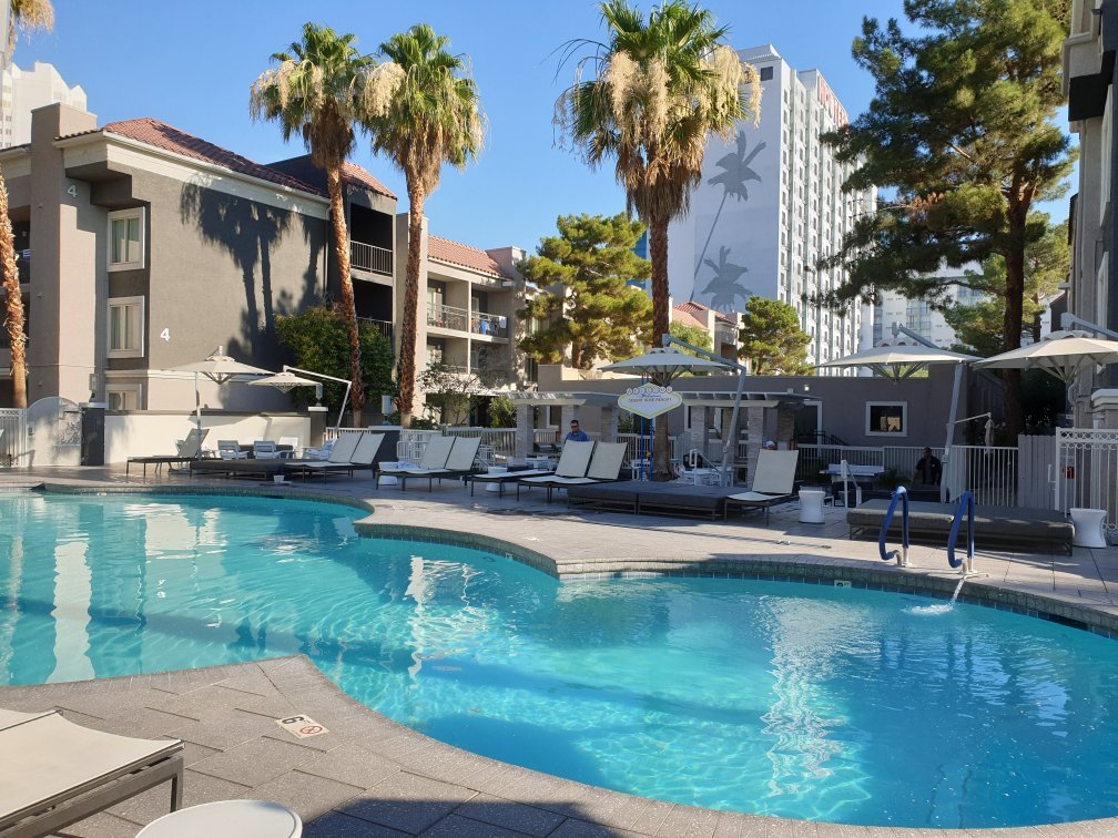 desert rose pool