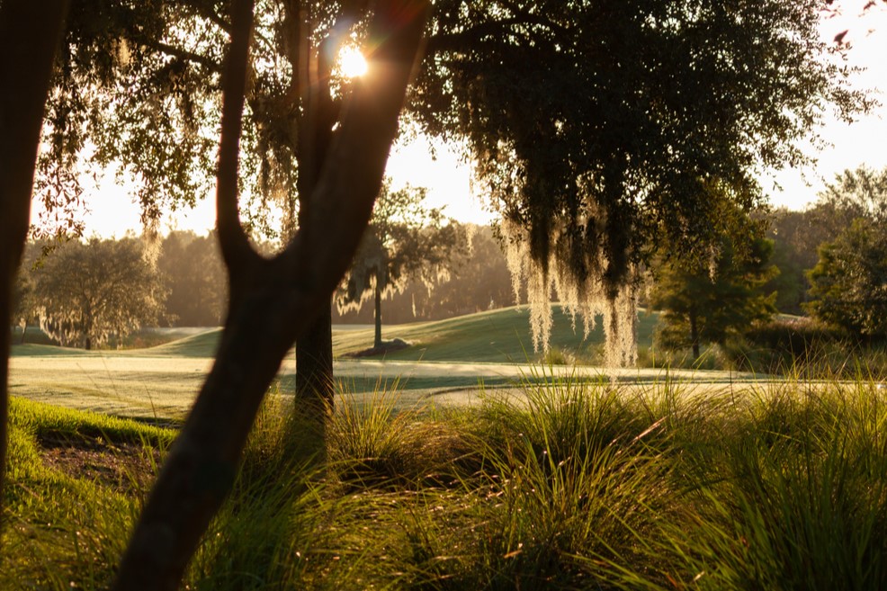 Golfing in Orlando