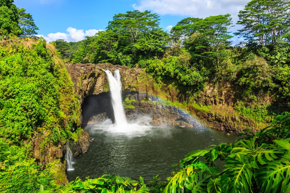 Rainforests in Hawaii