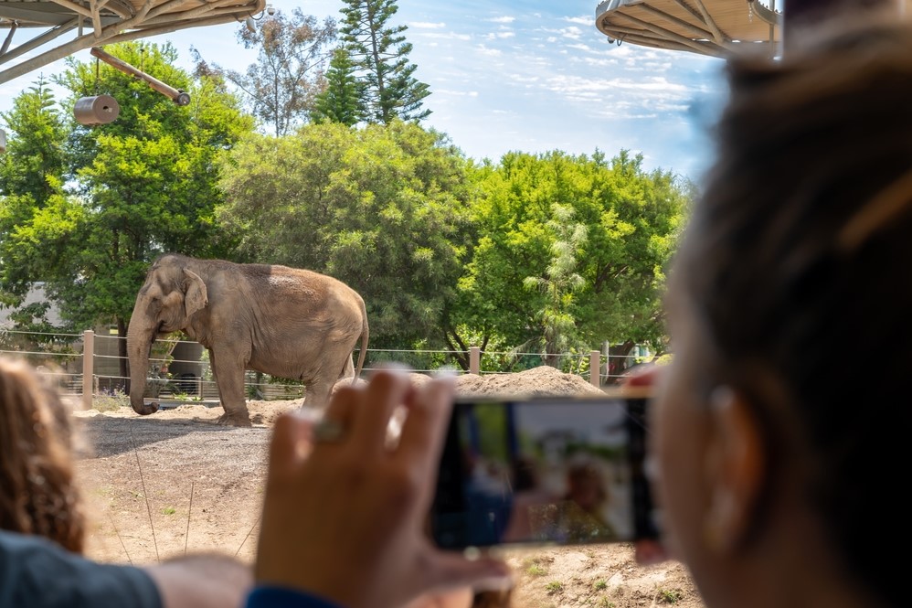 San Diego Zoo